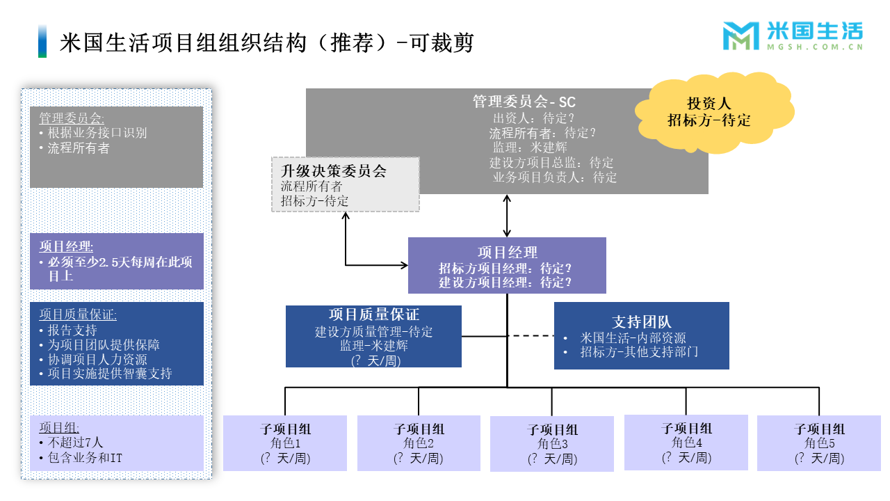 项目管理-项目经历-项目报告模板 (1)