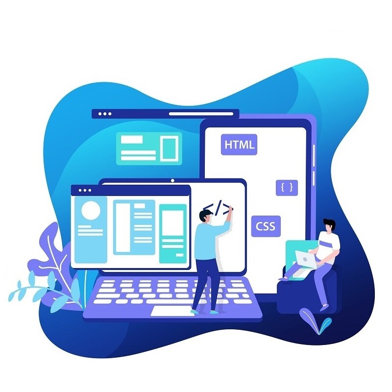 SEO-网站建设-网站开发Illustration
