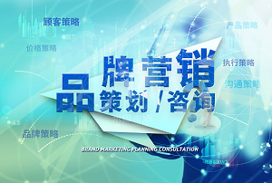 SEO-米国生活-品牌竞争分析