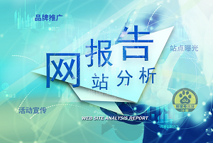 SEO-米国生活-网站分析报告