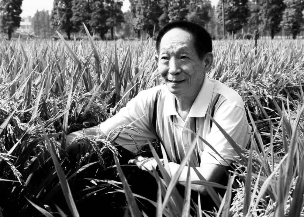 袁隆平
