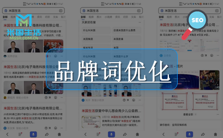 Brand word homepage optimization-米国生活Brand word optimization on the first three pages