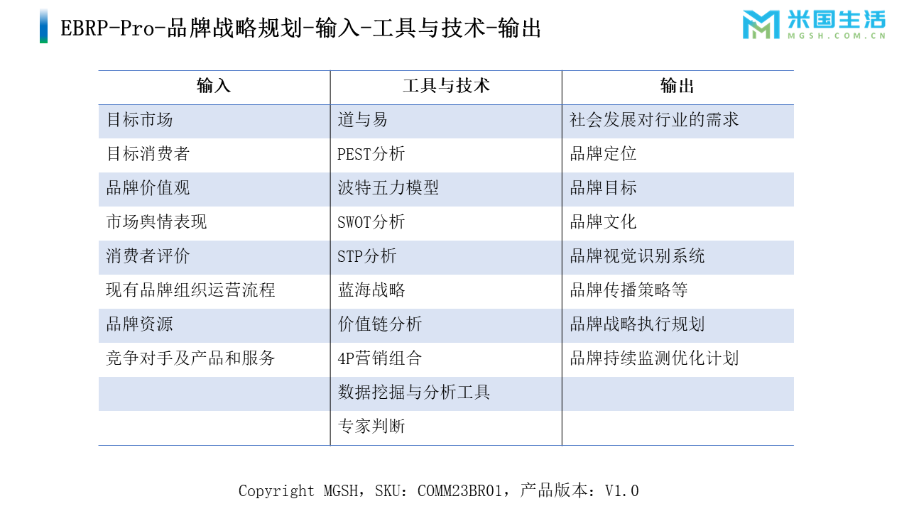 EBRP-Pro-品牌战略规划-输入-工具-输出