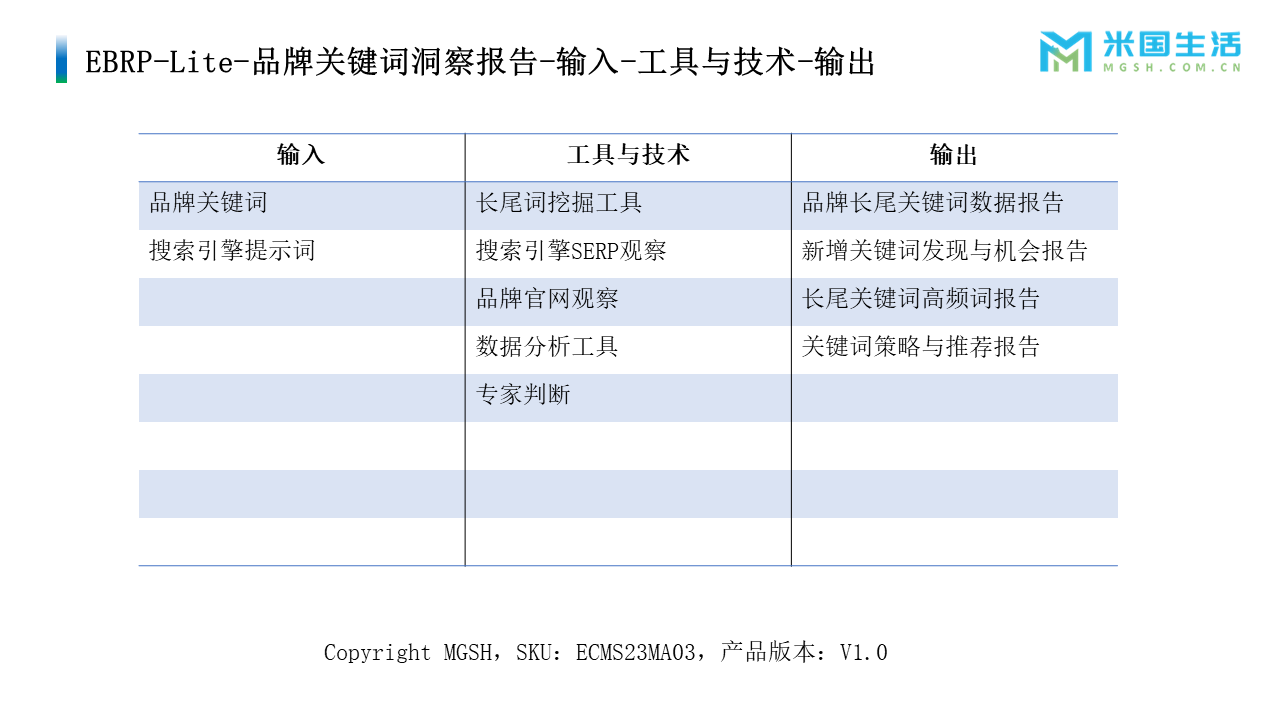 输入-工具-输出-品牌关键词洞察报告