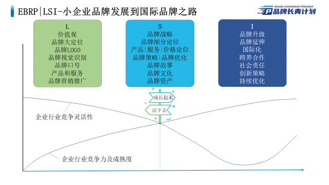 LSI-小企业品牌发展到国际品牌之路 - 定稿 -202306