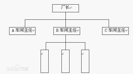 直线型组织